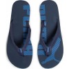 Puma Epic Flip