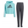 Детски екип ADIDAS G HOODED CROP TS