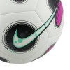 NIKE футболна топка NK FUTSAL PRO - HO23